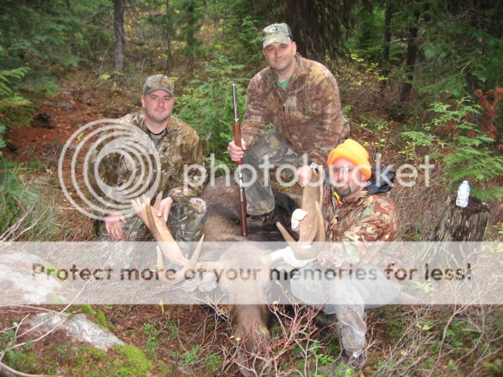 Successful Idaho Moose hunt