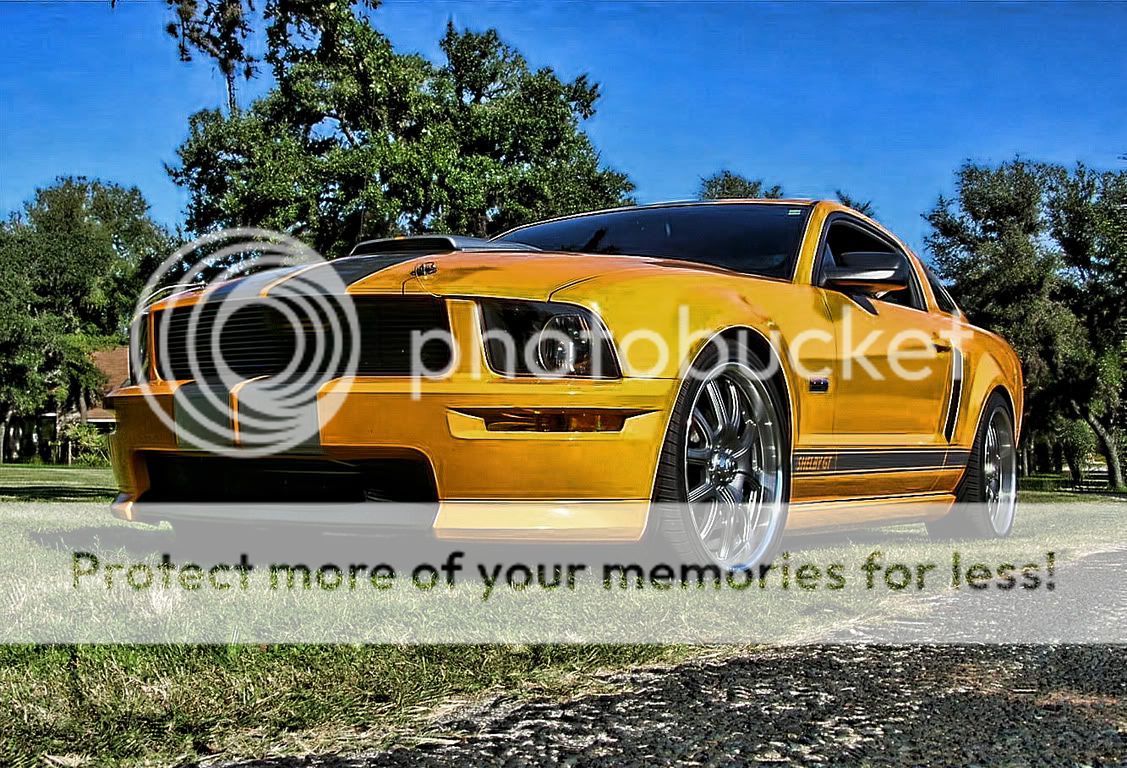 ShelbyGT1.jpg