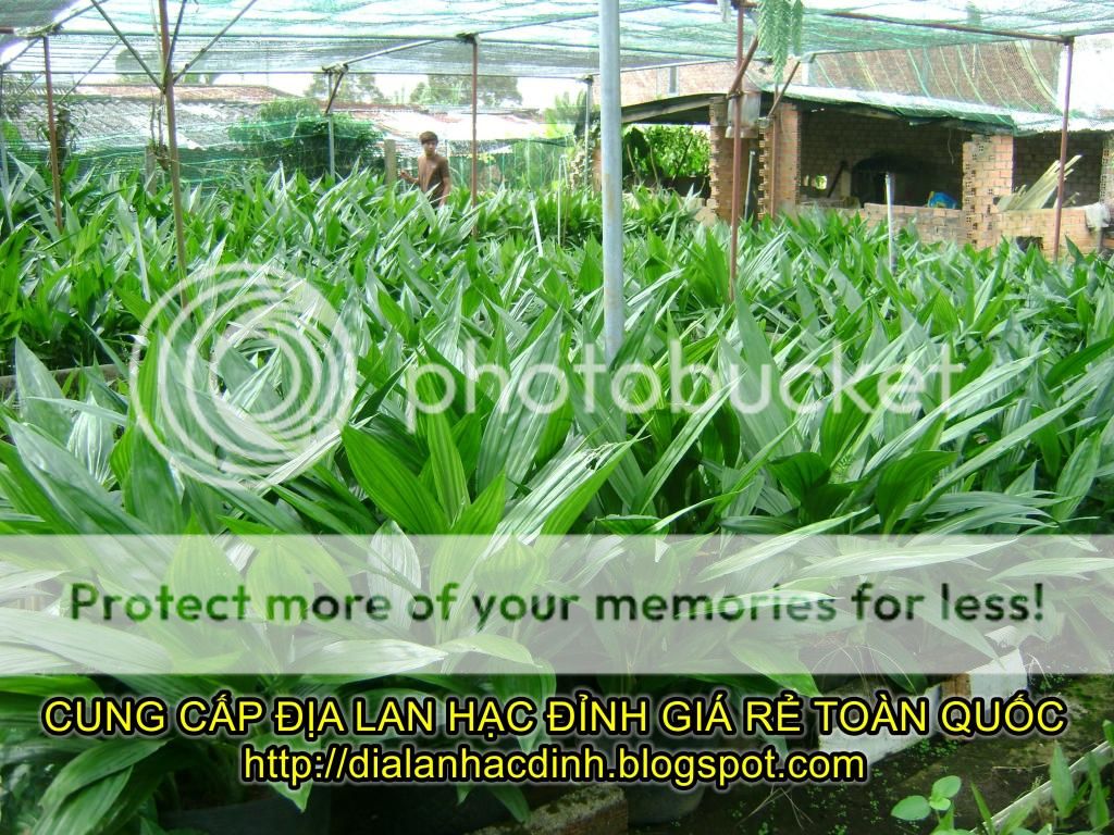 watermarked-DSC08273_zpsc845d968.jpg watermarked-DSC08273_zpsc845d968.jpg