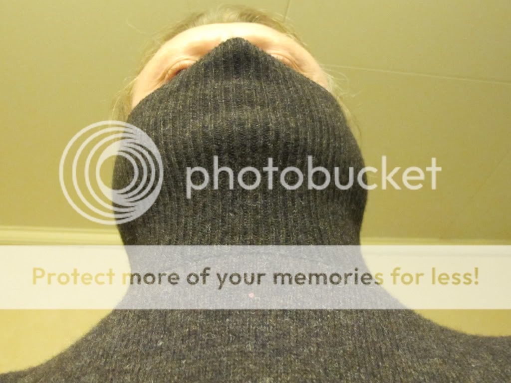 Wool Turtleneck Mask Pictures, Images & Photos Photobucket