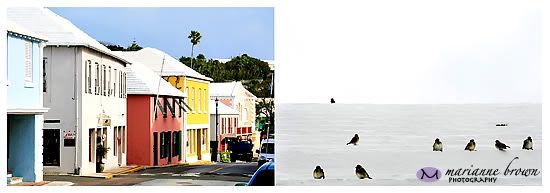 Bermuda ~ Travel