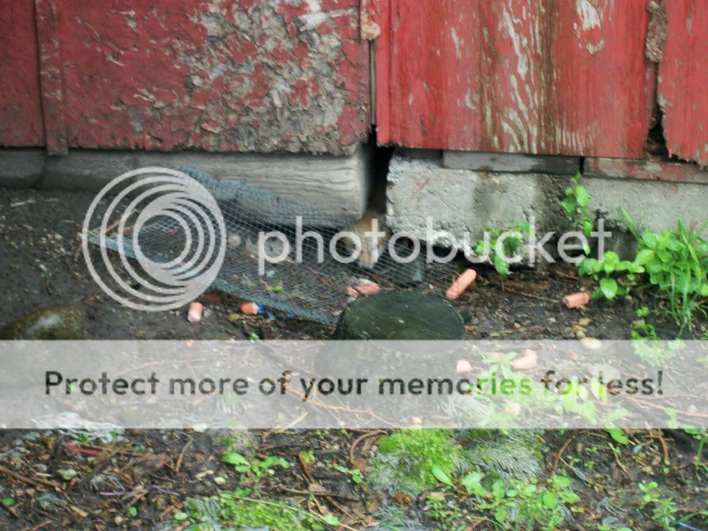 Posted Image