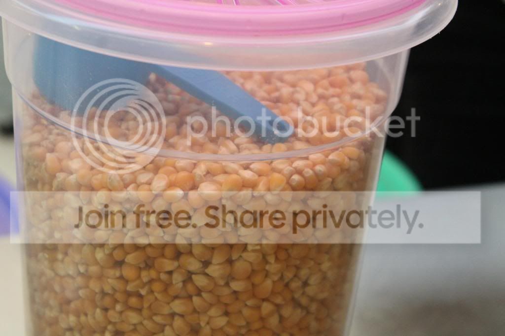  photo IMG_3310_zps1fd215b0.jpg